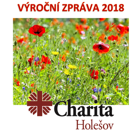 Výroční zpráva 2018