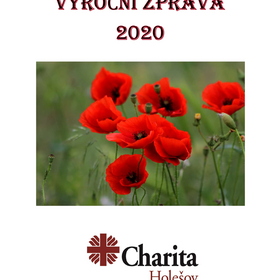 Výroční zpráva 2020